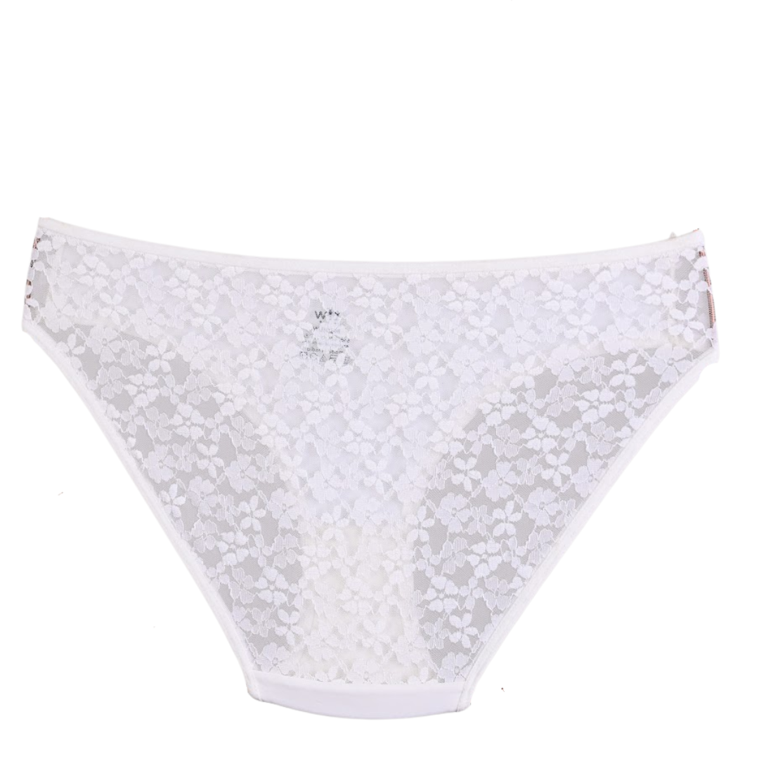 Lace bikini panty with fabric front